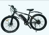 Electrical bicycle at huge discount