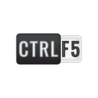 wordpress developer expert