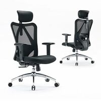 SIHOO® M18 High Back Office Chair, Mesh Ergonomic Office Chair for Work from Home(Black)
