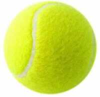 Shopsy Sports & Fitness essentials from Rs.32