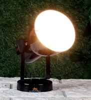 Seirra Black Iron Garden Light, By DecorativeRay