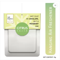 Airroma Citrus Car Freshener  (45 g)