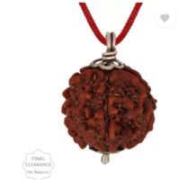 RUDRA UNIVERSE  5 mukhi rudraksha Wood Pendant