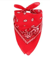 Bismaadh Paisley Print Bandana for Men And Women ["Red"] Handkerchief