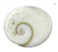 (Pack of 11) ByCue Gomati chakra Stoneware Yantra  (Pack of 11)