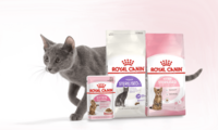 Free Sample - Royal Canin Sterilised Cat Kit
