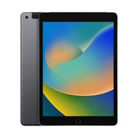 Apple iPad 9th Generation Wifi + 4G (10.2 Inch, 256GB ROM, Space Grey, 2021 model)