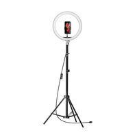Amazon Basics LED Ring Light (12-inch) with Hot Shoe Adapter, Stand & Cameras, and 3 Temperature Modes