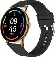 Fire-Boltt Phoenix Pro 1.39" Bluetooth Calling Smartwatch, AI Voice Assistant, Metal Body with 120+ Sports Modes, SpO2, Heart Rate Monitoring (Gold Black) 