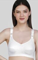 Myntra | Women Bras(Pack of 3's) under 599 