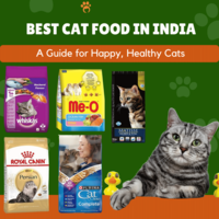 Best Cat Food in India for Kittens and Adult Cats