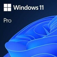 Windows 11/10 Pro Licence key