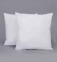 Microfiber Filled Polyester 16 x16 Inch Cushion Inserts (Set of 2), By Gilson