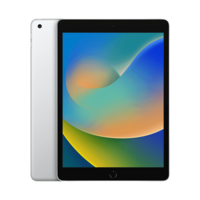 Apple iPad 9th Generation Wi-Fi+4G (10.2 Inch, 256GB, Silver, 2021 model)