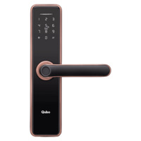 Qubo Smart Locks (5 Way Unlock, OC-HLM03CU1, Copper)