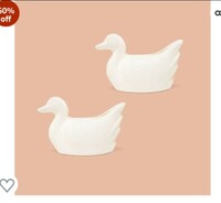  TrustBasket Duck Table Top Planter Pot (Pack of 2) | Heavy Duty Plastic White Indoor Planter for Home Decor. 
