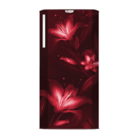 Godrej Edge Rio 192 Liters 2 Star Direct Cool Single Door Refrigerator with Anti Bacterial Technology (RD EDGERIO 207B 23 THF WN, Wine)