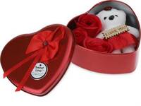 Valentine's Day Special Gift 80% Off