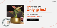 Gold Metal Zoe Desk Planter,