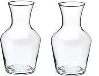 Flora Solutions Beautiful Transparent Bootle Shape Glass Pots Set Off 2 Glass