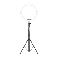 Digitek DRL 12C Ring Light with Light Stand for Live Streaming, Selfie, Video Chatting & Vlogging (Maximum Load Upto 5Kg)