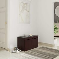 Amazon Brand - Solimo Sauron Engineered Wood 2 Door Shoe Rack (Wenge finish) [Kolkata 700001]