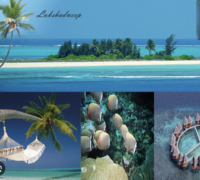 Cheapest Flight from Kochi to Lakshadweep