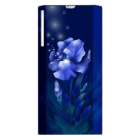 Godrej Edge Rio 192 Litres 4 Star Direct Cool Single Door Refrigerator with Turbo Cooling Technology (RD EDGE RIO 207D 43 THI, Aqua Blue)