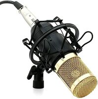 Powerpak BM 800 Black Professional Condenser Microphone Mic with Shock Mount | Foam Cap | XLR Cable | Sound Studio Recording Dynamic (Phantom Power Required)