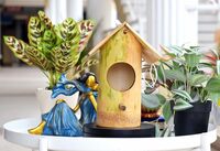 Safest Bamboo Organic Bird NEST Purely Handmade Sparrow/Small Birds, Material Type Real Bamboo Size Medium | Bamboo Bird Houses for Eco-Friendly Birding