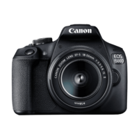 Canon EOS 1500D 24.1MP DSLR Camera (18-55 mm Lens, 22.3 x 14.9 mm Sensor, Optical Image Stabilization)