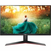 LG Electronics 24 Inch (60.9Cm) Full Hd Monitor with IPS Panel