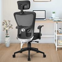Da URBAN® Mexico Lite High Back Mesh Ergonomic Office Chair with 3 Years Warranty,Adjustable Lumbar Support,Tilt Lock Mechanism (Black)