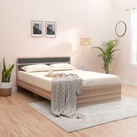 Amazon Brand - Solimo Sopor Engineered Wood Queen Bed without storage (Chequered Light finish)