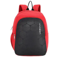 Upto 89% Off Lavie Sports Backpack.