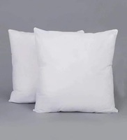 Microfiber Filled Polyester 16 x16 Inch Cushion Inserts (Set of 2)