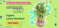 Amazon Best of Indoor supplies - Ans and chance to win Ugaoo lucky bamboo