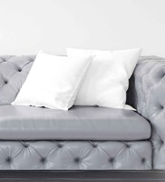 Microfiber Filled Polyester 12 x 12 Inch Cushion Inserts (Set of 2), By Gilson