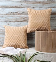Beige Velvet Solid 16x16 inches Cushion Covers (Pack of 2), By MFD Home Furnishing