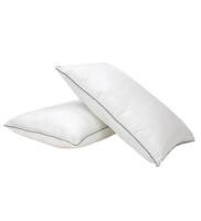 Stripe Microfiber 24 L x 16 W Inch Pillow With Blue Lining (Set of 2)