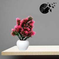 Home Decoration Items From Rs 21 + Extra saving Coupons 