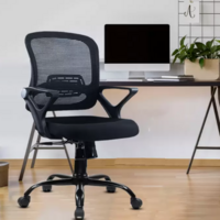 GREEN SOUL Pebble Mid Back Ergonomic Arm Chair  (Black, Optional Installation Available)