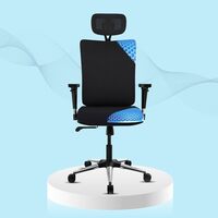 ErgoSmart by The Sleep Company - Plus Orthopedic Office Chair | Black (Onyx)