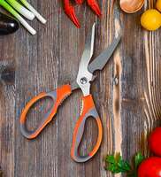 Grey & Orange Carbon Steel Multipurpose Kitchen Household and Garden Scissors by Story@home