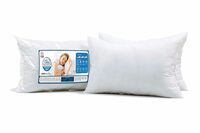 Soft Fiber Filled Pillow (Pack Of 2)
