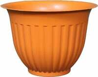 Plant container from ₹16