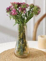 Amazon sample @99 UM Creaciones Glass Vase