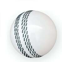CARRY ON Cricket Wind Ball (Pack of 1) - Made in India Smooth Cricket Synthetic Ball Cricket Rubber Ball (Pack of 1)