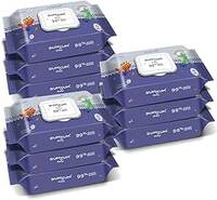 Bumtum Baby Gentle 99% Pure Water Soft Moisturizing Wet Wipes With Lid | Aloe Vera & Chamomile Extracts | Paraben & Sulfate Free (72 Pcs. Pack of 9)  Wipes 648 count (Pack of 1)