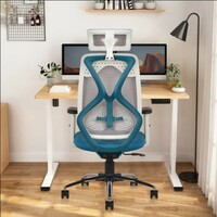 CELLBELL C190 Berlin Imported Pneumatic Hydraulic | 2D Padded Arms Ergonomic High Back Mesh Office Adjustable Arm Chair (Blue,)